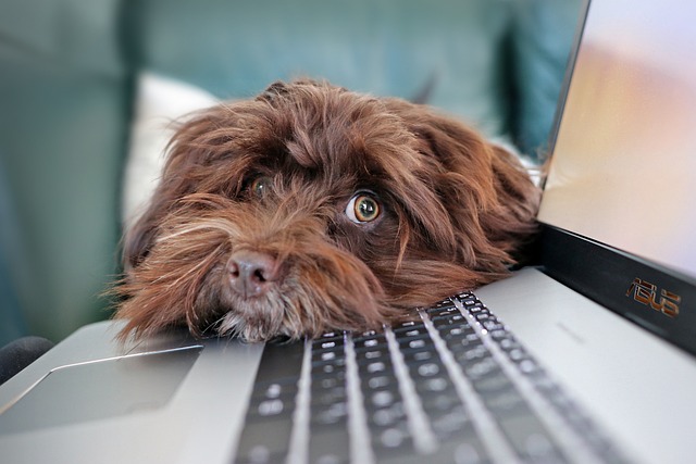 How to Import QTI to Google Forms